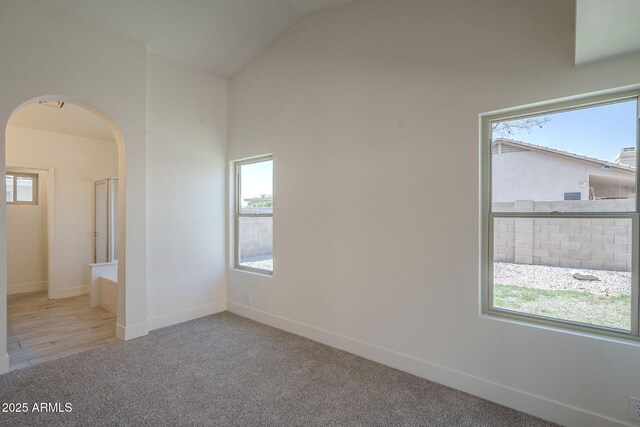 4248 E Jason Dr, Phoenix, AZ 85050 - unfurnished room with arched walkways, plenty of natural light, carpet, baseboards, and vaulted ceiling