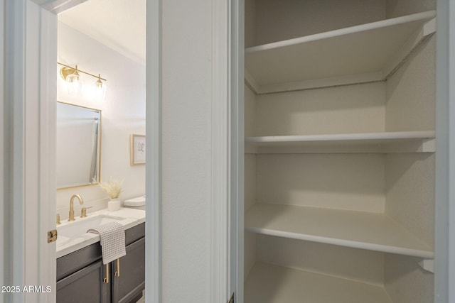 4248 E Jason Dr, Phoenix, AZ 85050 - closet featuring a sink