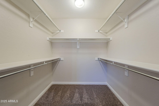 1826 W Oriole Way, Chandler, AZ 85286 - walk in closet with carpet floors
