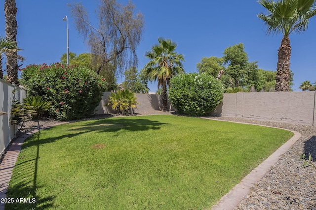 1826 W Oriole Way, Chandler, AZ 85286 - view of fenced backyard
