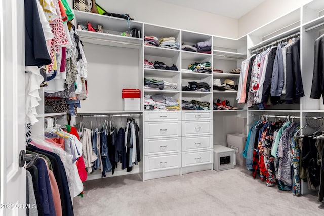 spacious closet featuring carpet flooring