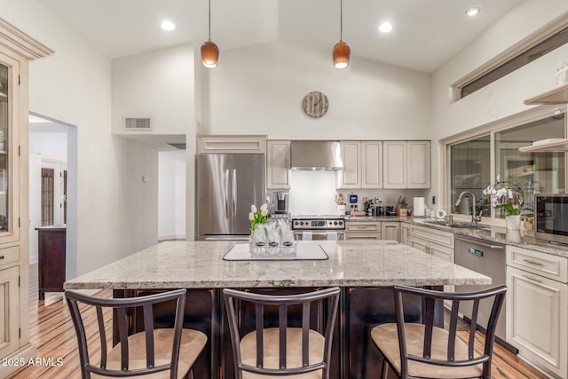 15825 N 45th St, Phoenix, AZ 85032 - kitchen featuring stainless steel appliances, exhaust hood, a sink, high vaulted ceiling, and light wood-style flooring