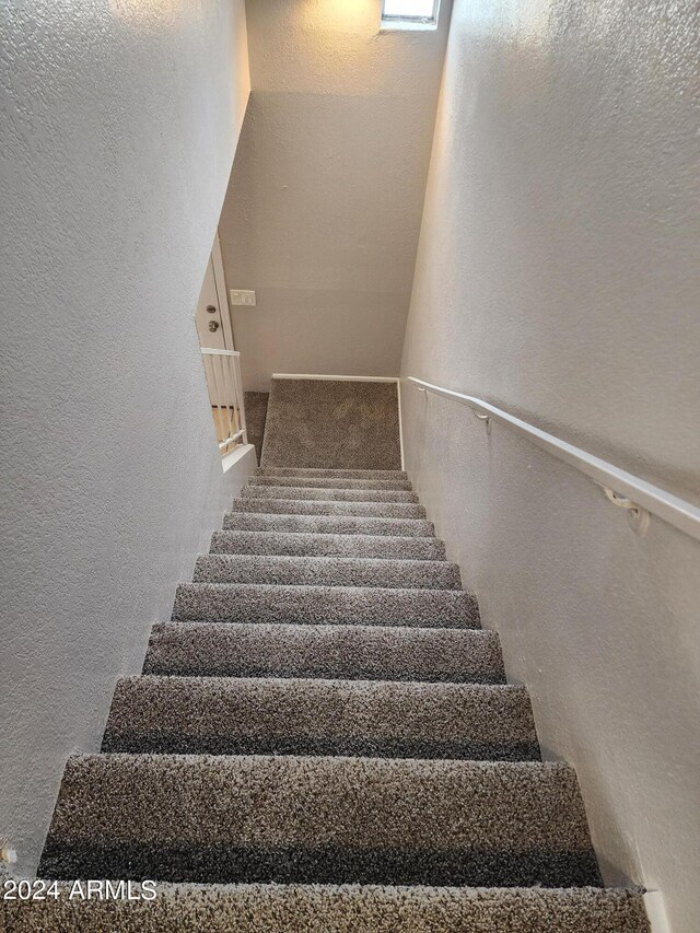 stairs with carpet flooring