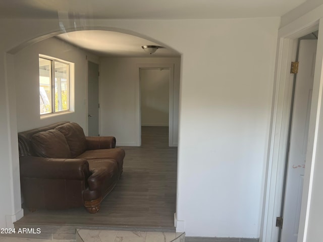 living room featuring hardwood / wood-style floors