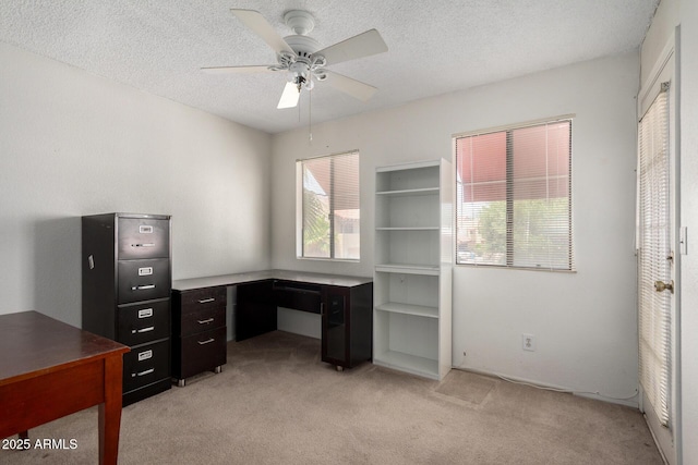 10235 N 31st St Unit 2, Phoenix, AZ 85028 - unfurnished office featuring light carpet, ceiling fan, and a textured ceiling