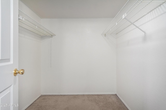 10235 N 31st St Unit 2, Phoenix, AZ 85028 - spacious closet featuring light carpet