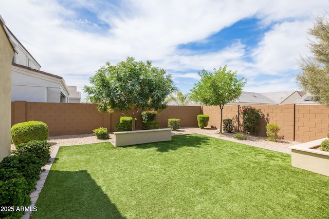 24226 N 22nd St, Phoenix, AZ 85024 - view of yard
