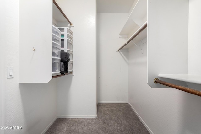 walk in closet featuring carpet flooring