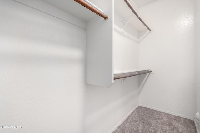 spacious closet with carpet floors