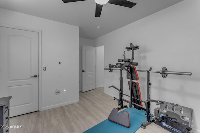 workout area featuring light hardwood / wood-style floors and ceiling fan