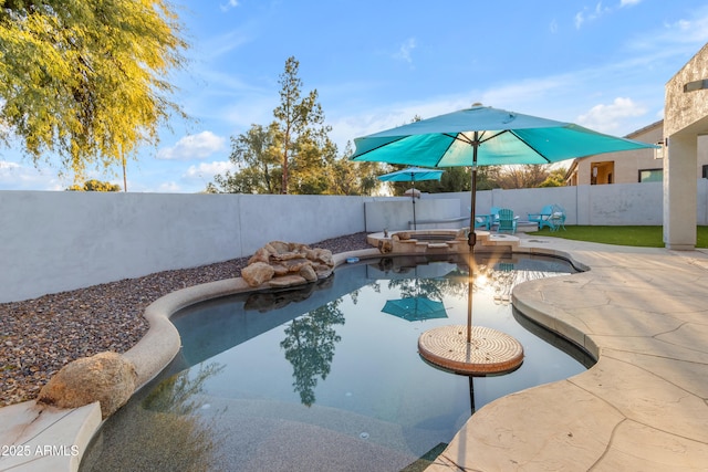 view of swimming pool with a patio area