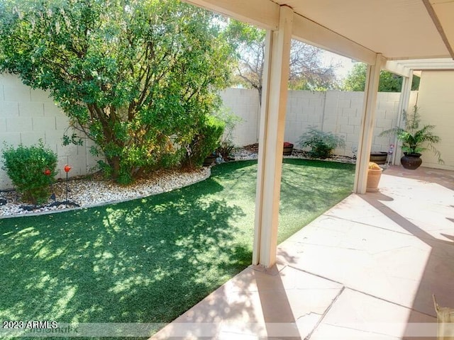 view of yard with a patio