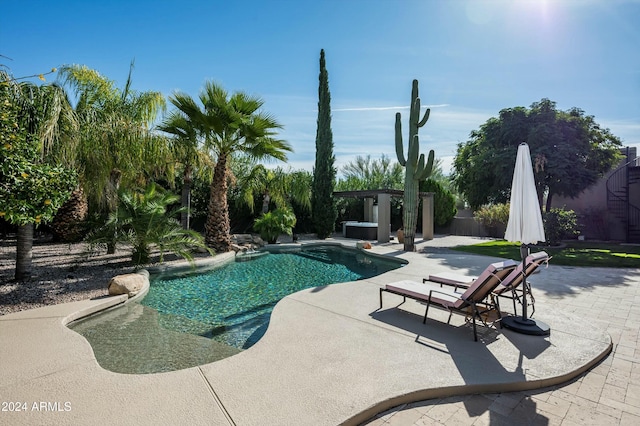 view of pool with a patio area