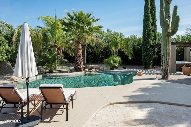 view of swimming pool with a patio area