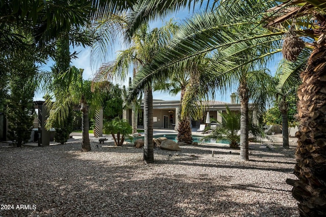 surrounding community featuring a swimming pool and a patio