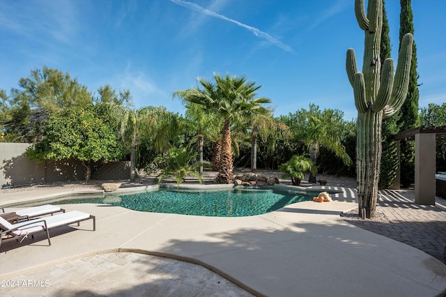 view of swimming pool featuring a patio area