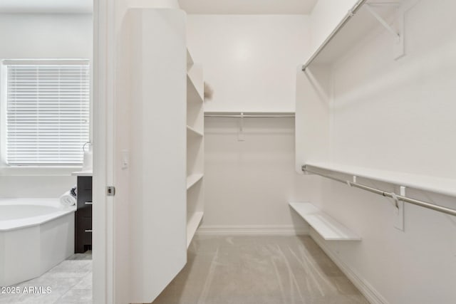 11872 W Duane Ln, Peoria, AZ 85383 - walk in closet with light carpet