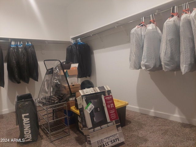 walk in closet featuring carpet floors