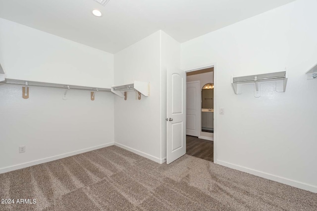 spacious closet featuring carpet flooring