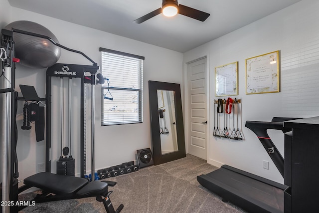 exercise room featuring ceiling fan and carpet