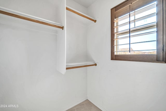 spacious closet featuring light carpet