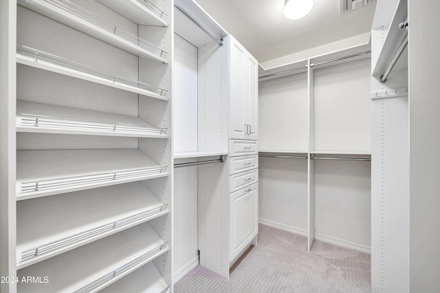 spacious closet with light colored carpet