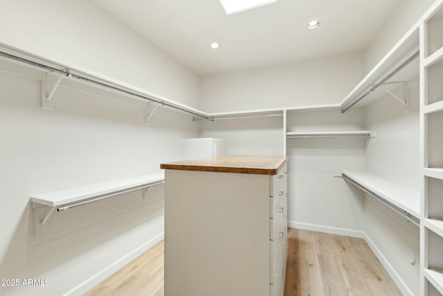 11334 E Troon Vista Dr, Scottsdale, AZ 85255 - walk in closet with light wood-type flooring