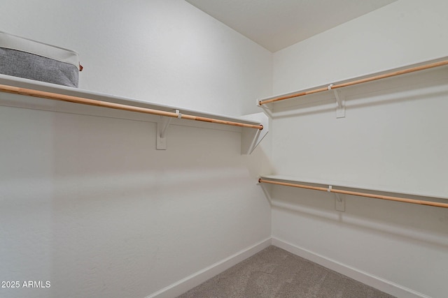 13719 W Amberwing St, Peoria, AZ 85383 - spacious closet with carpet floors