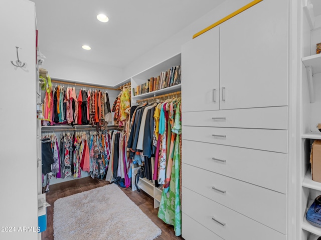 spacious closet with dark wood-type flooring