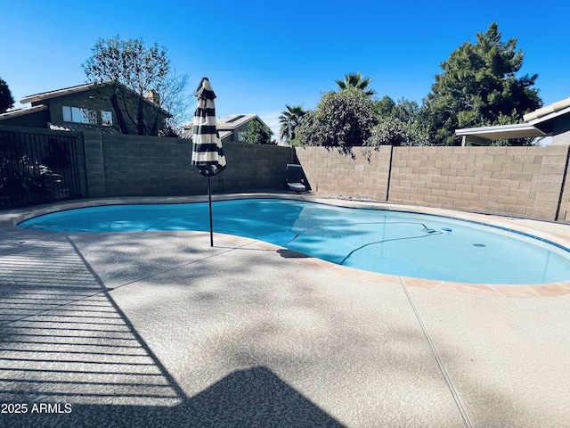 view of swimming pool featuring a patio area, a fenced backyard, and a fenced in pool