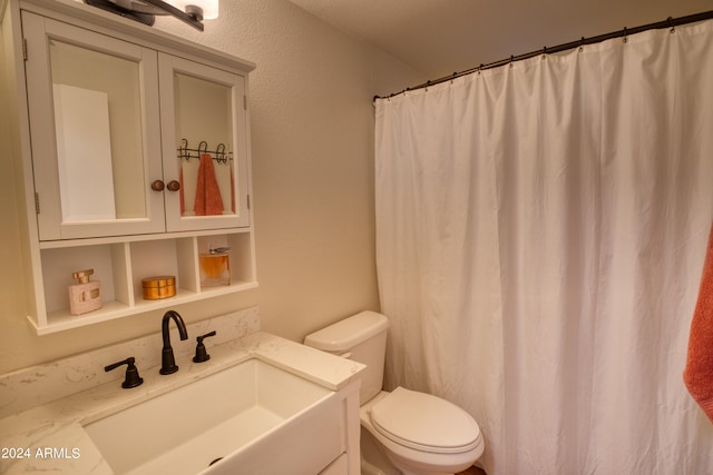 bathroom featuring toilet and large vanity