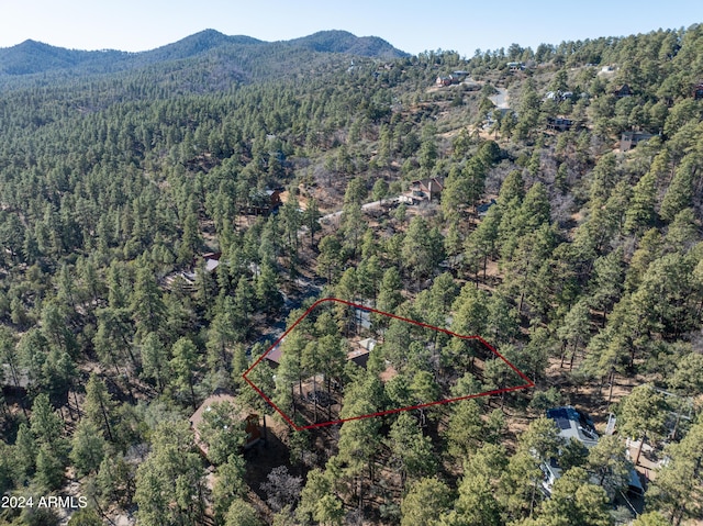 bird's eye view with a mountain view