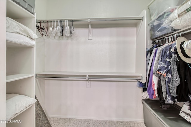 view of spacious closet