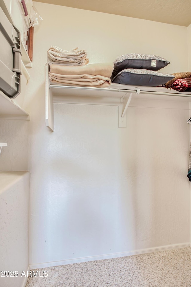 spacious closet with carpet floors