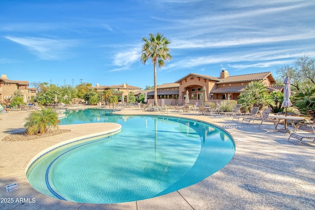 view of swimming pool featuring a patio