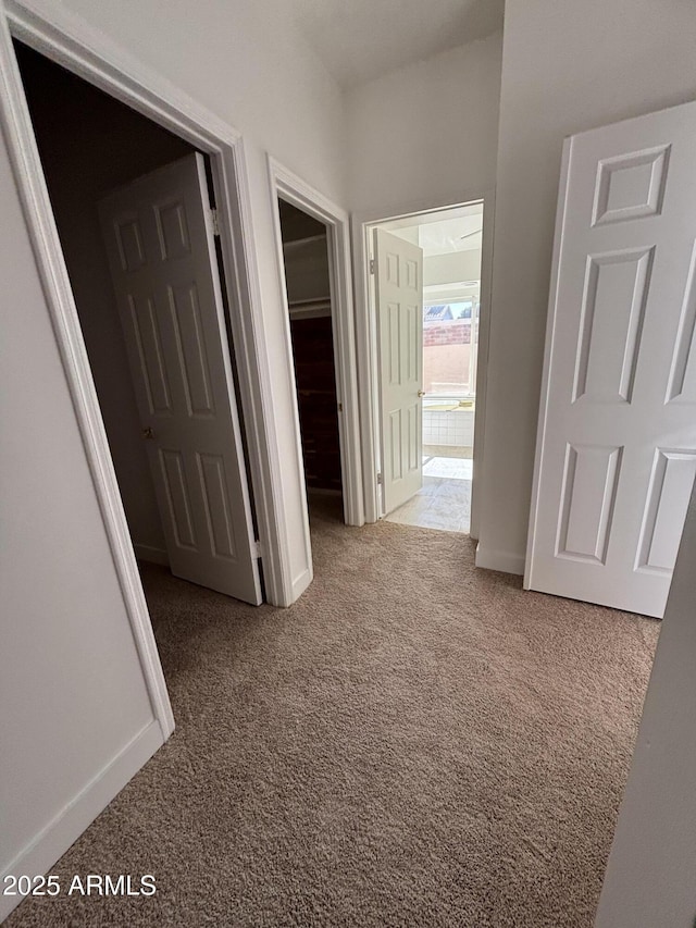 corridor featuring carpet floors