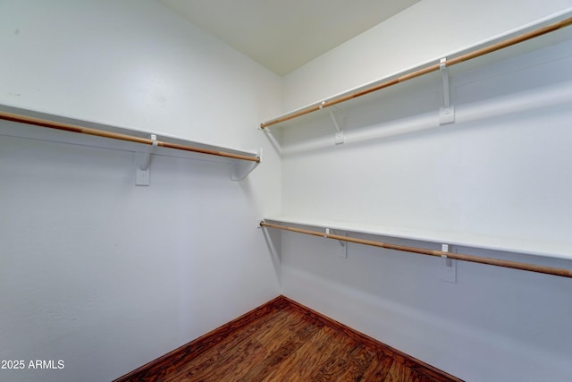 walk in closet with wood finished floors