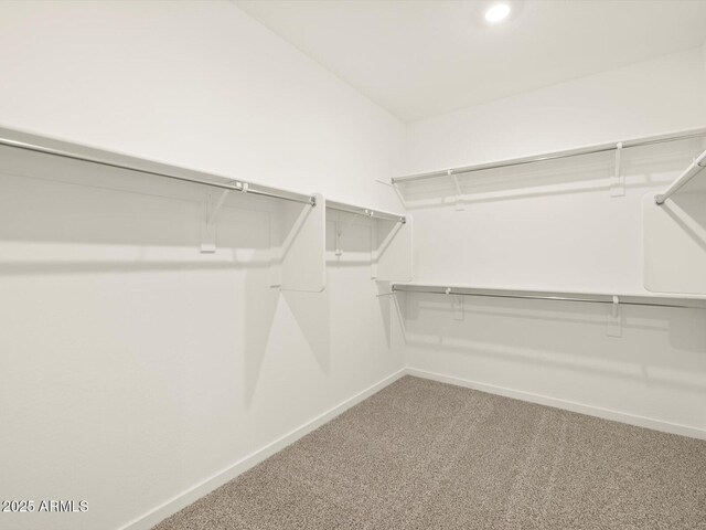 spacious closet with carpet