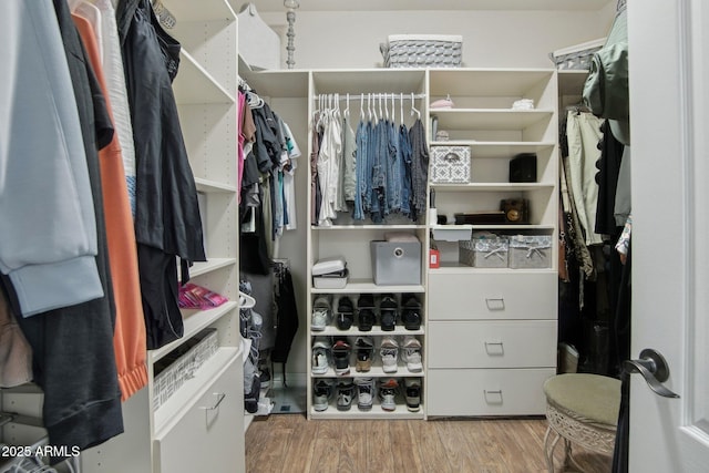 walk in closet featuring wood finished floors