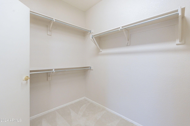 spacious closet with carpet floors