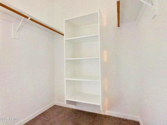 3820 E Mcdowell Rd Unit 102, Phoenix, AZ 85008 - walk in closet featuring carpet flooring