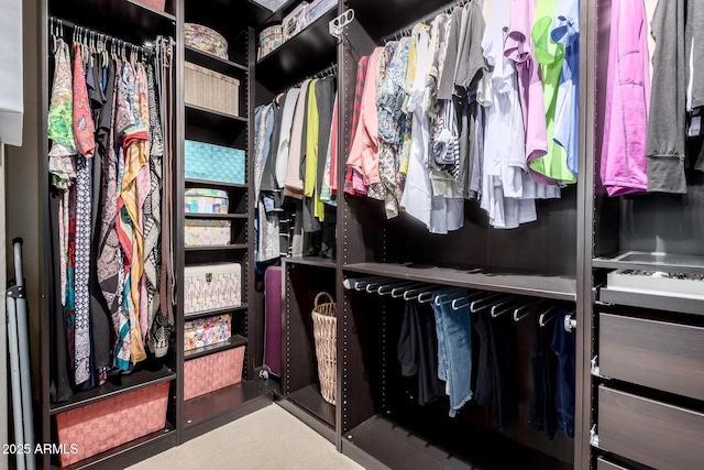view of spacious closet