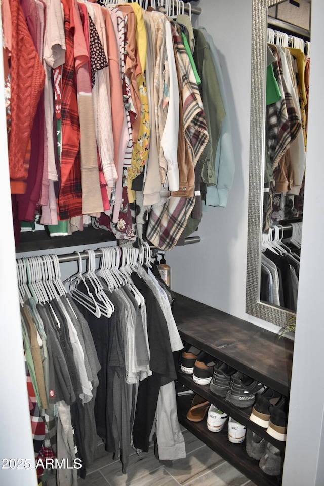 4755 E Gary St, Mesa, AZ 85205 - view of spacious closet