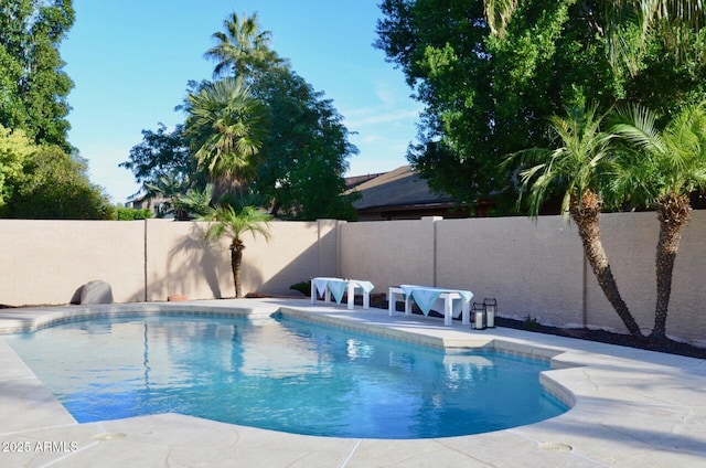 view of pool featuring a fenced in pool and a fenced backyard