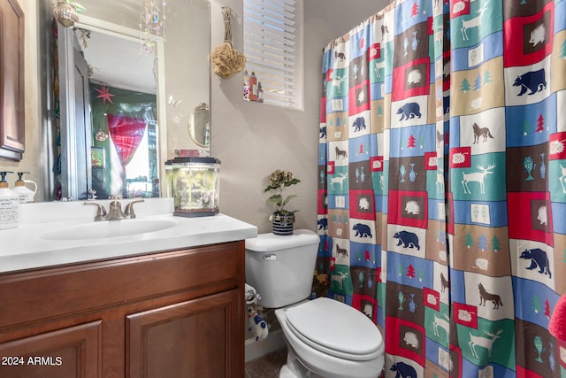 bathroom with toilet and vanity