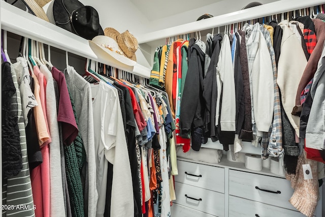 view of walk in closet