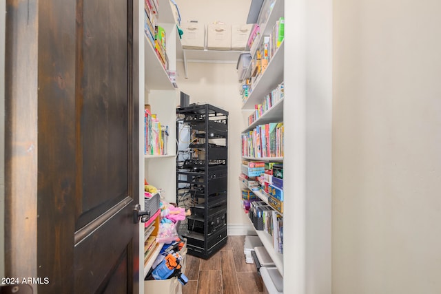 spacious closet with dark wood-type flooring