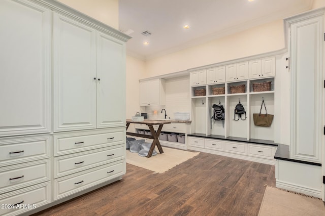 mudroom featuring crown molding and dark wood-type flooring