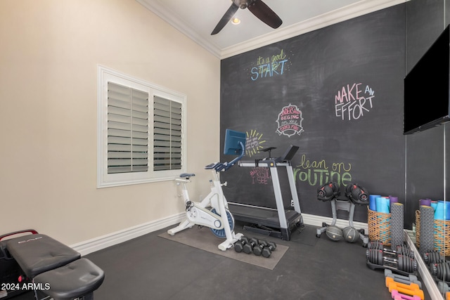 workout area with ceiling fan and ornamental molding