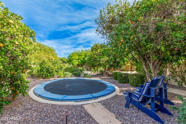 view of yard featuring a trampoline